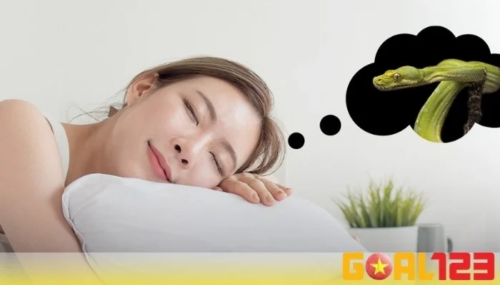 Giải Mã Giấc Mơ Thấy Rắn Quấn Chân Ý Nghĩa và Con Số May Mắn